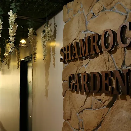 Shamrock Garden-2